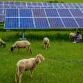 Photovoltaic support on blue ground