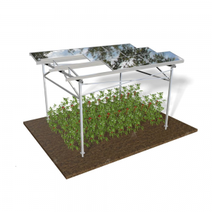agricultural photovoltaic complementary system
