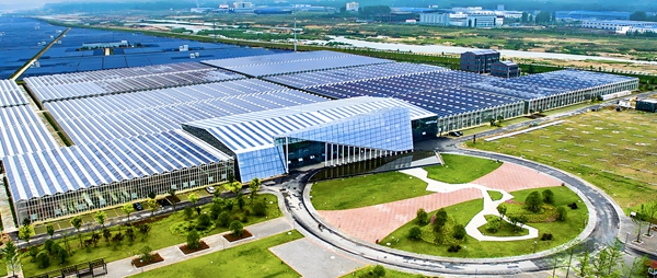 Solar Water Pumps, Trusted System Companies