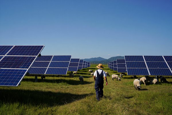 Battery Backup Solar Systems: Power Storage Solutions for Reliable Energy