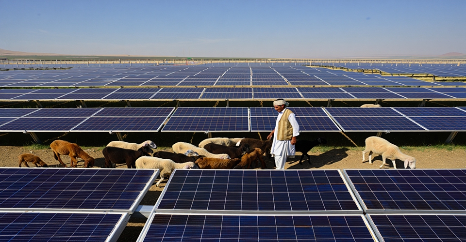 Ultimate Solar Battery Guide: Home Storage Solutions