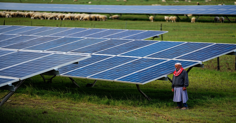Lithium Iron Phosphate Batteries for Solar Storage: 24V Models
