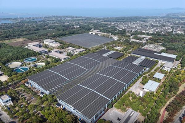 Maximizing Solar ROI: Professional Roof Mounted Systems for Flat Roofs