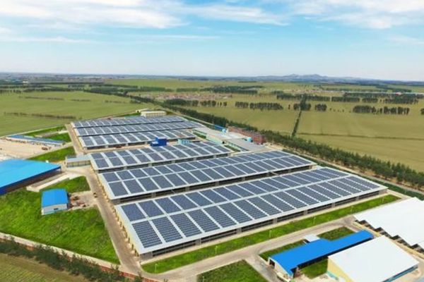 Engineered for Peak Performance: What Defines the Best Solar Ground Mount System